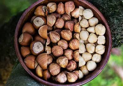 Hazelnuts in Bowl Journey of Hazelnuts - Category