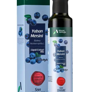 Ahmet Arifoğlu Blueberry Extract 225 ml - Arifoğlu