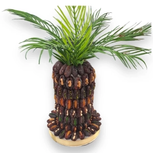 Date Palm Tree - Malatya Pazarı