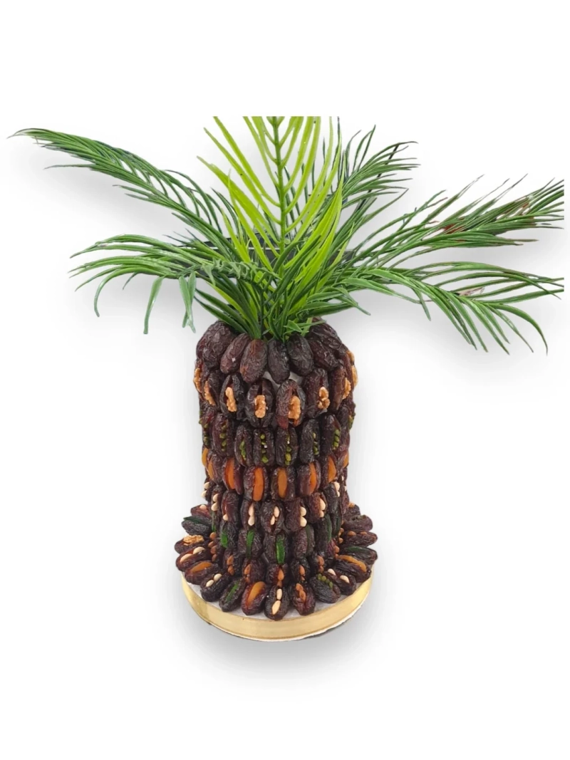 Date Palm Tree - Malatya Pazarı