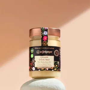 Organic Honeycomb Honey 450g - Eğriçayır
