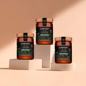 Organic Pine Honey TA15+ 3 x 850g - Eğriçayır
