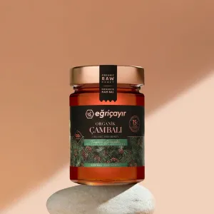 Organic Pine Honey TA15+ 450g - Eğriçayır