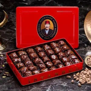 Pistachio Chocolate Baklava (L Box) - Hafız Mustafa