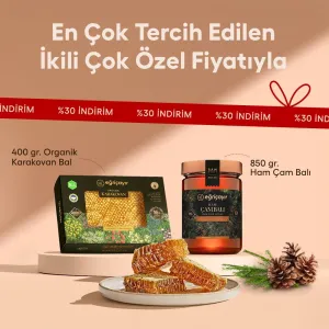 Raw Pine Honey + Organic Honeycomb Piece - Eğriçayır
