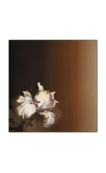 White iris flower painting with a brown-to-black gradient background, elegant floral artwork, modern art piece, high-quality print, decorative wall art from Turkey.