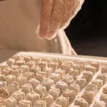 LKM040053productimage