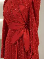 Alisya Modest Evening Dress