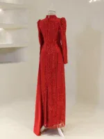 Alisya Modest Evening Dress