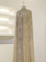 Elegant beige evening dress adorned with intricate silver sequins and beadwork, perfect for formal occasions or weddings.