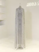 Shimmering silver gown with intricate sequin details and flowing chiffon overlay, perfect for special occasions or glamorous events.