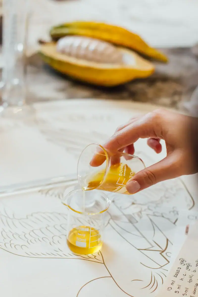 Golden yellow olive oil being poured from a small measuring cup into another cup on a drawing of a leaf, with a cacao pod in the background.