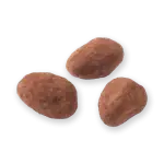 Fresh Turkish cocoa beans for authentic local flavor with fast international shipping.