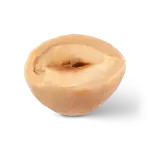 Roasted hazelnut half showing the nut inside, healthy snack, high quality retail packaging, premium food product from Turkey for culinary use and snacking.