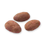 Roasted Turkish coffee beans, dry and brown, high-quality, premium coffee beans, native from Turkey, aromatic, organic, fresh, ideal for brewing in traditional Turkish style.