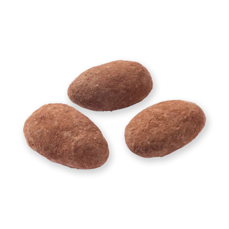 Roasted Turkish coffee beans, dry and brown, high-quality, premium coffee beans, native from Turkey, aromatic, organic, fresh, ideal for brewing in traditional Turkish style.