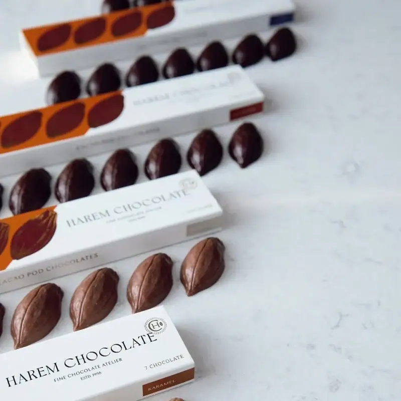 Premium Turkish chocolates with elegant packaging, including harem chocolate, cacao pod chocolates, and caramel flavors, available with fast shipping from Turkey.