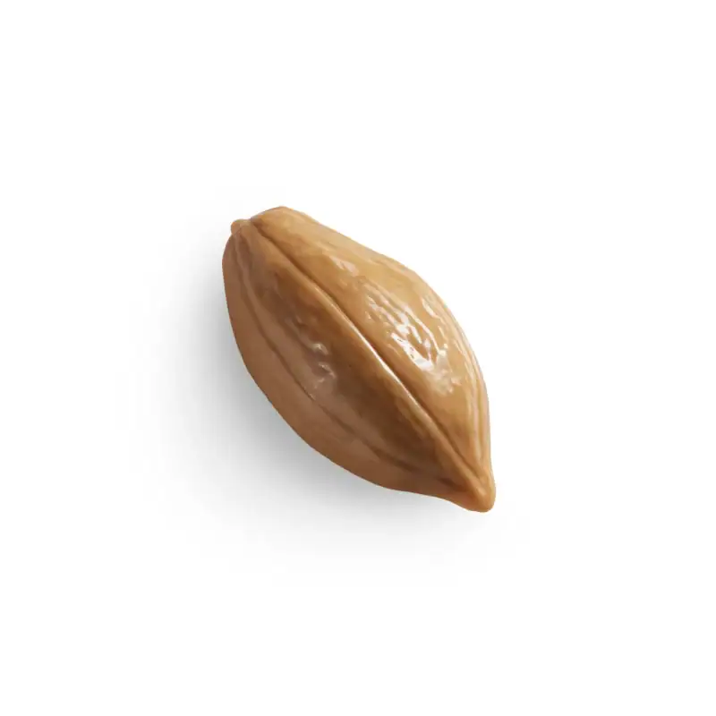 Creamy peanut butter pod isolated on white background, close-up image of a smooth, roasted peanut butter filling.
