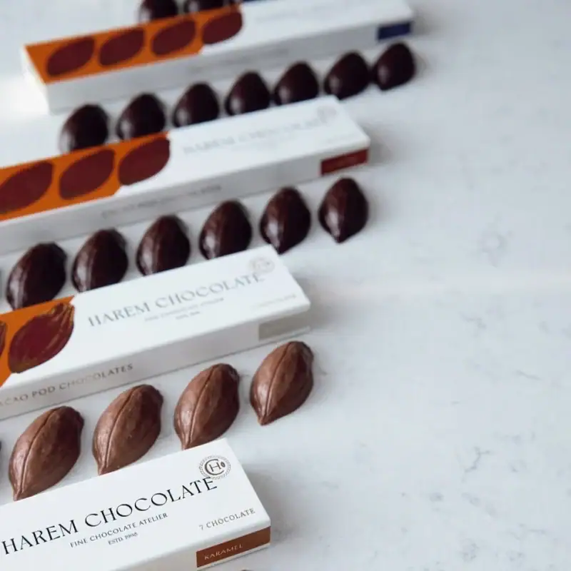 Luxurious Turkish chocolates including dark, caramel, and cocoa varieties displayed on a marble surface, showcasing premium quality confections available for purchase from Turkey.