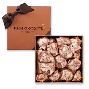Delicious Harem Chocolate in a luxurious gift box with brown wrapping and bow, perfect for gifting or indulging in premium Turkish fine chocolates.