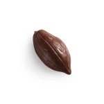 Cocoa Pod Chocolate | Milk - Harem Chocolate
