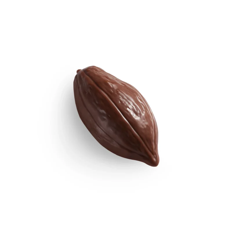 Cocoa Pod Chocolate | Milk - Harem Chocolate
