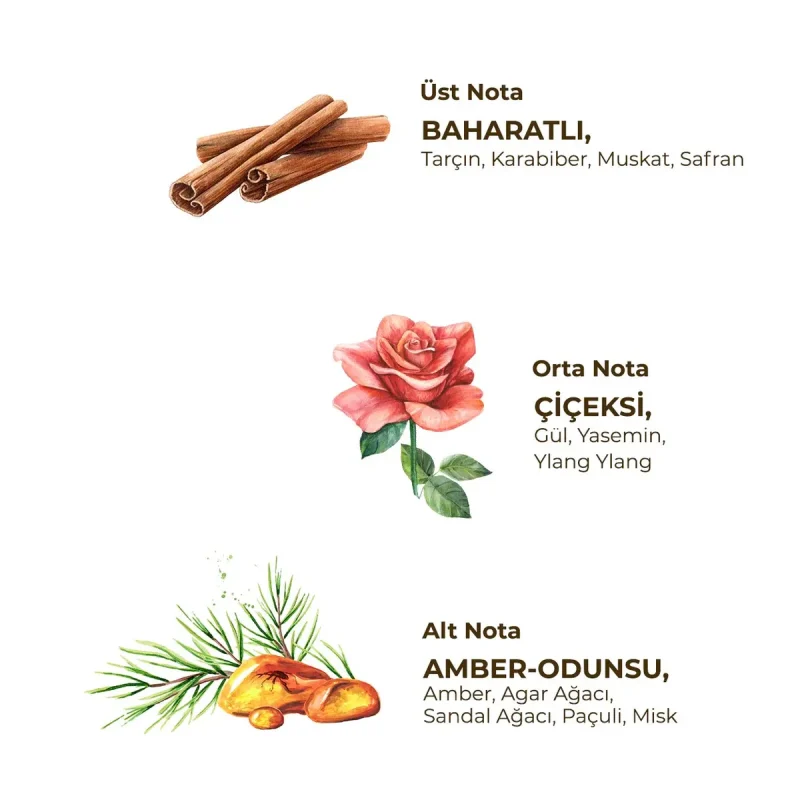 Amboudest Oud Scented Cologne 100 ml - Glass Bottle - Eyüp Sabri Tuncer