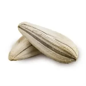Salted White Sunflower Seeds 500g - Tuğba Kuruyemiş